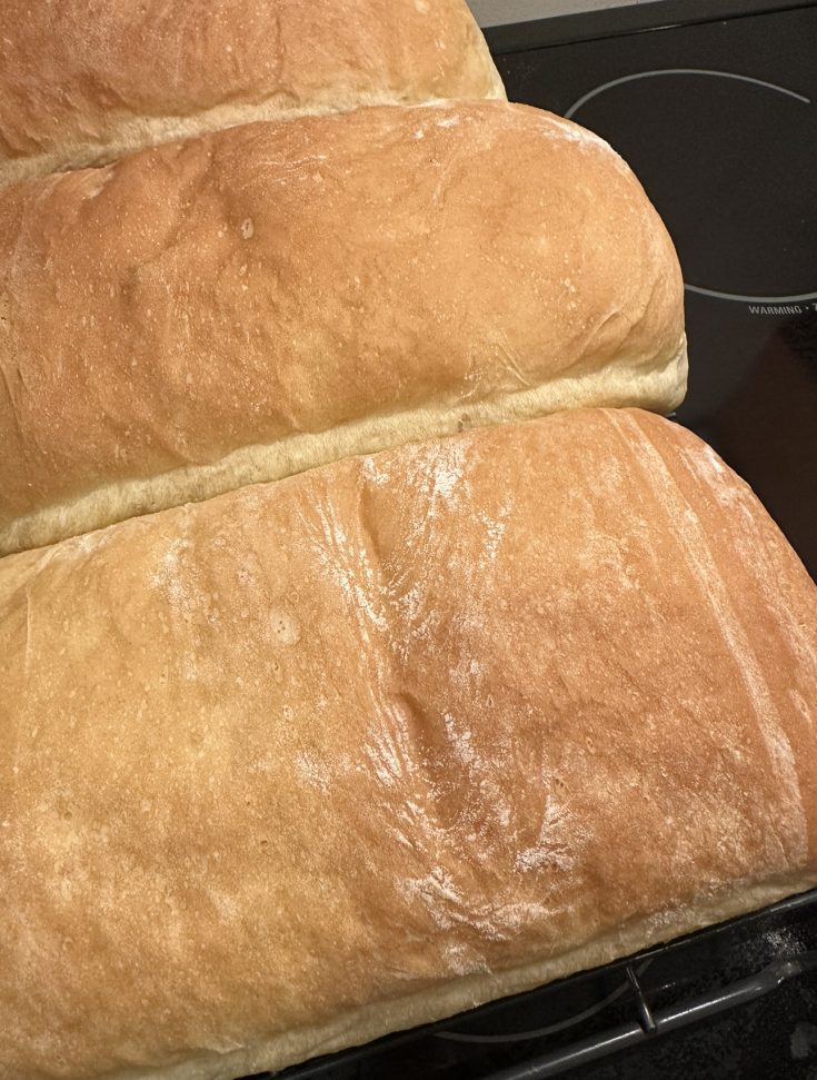 Super Simple Loaf Bread